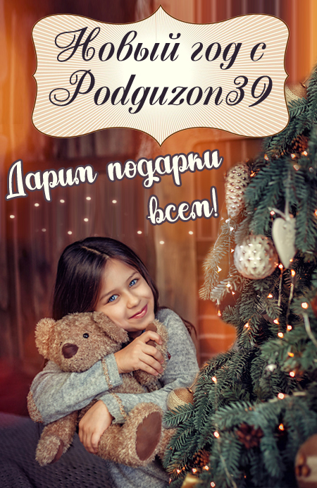 Новый год с Podguzon39 1 Новый год с Podguzon39 1