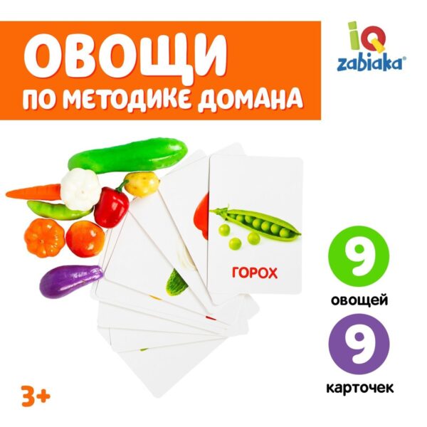 Обучающий набор по методике Г. Домана «Овощи»: 9 карточек + 9 овощей, счётный материал 1