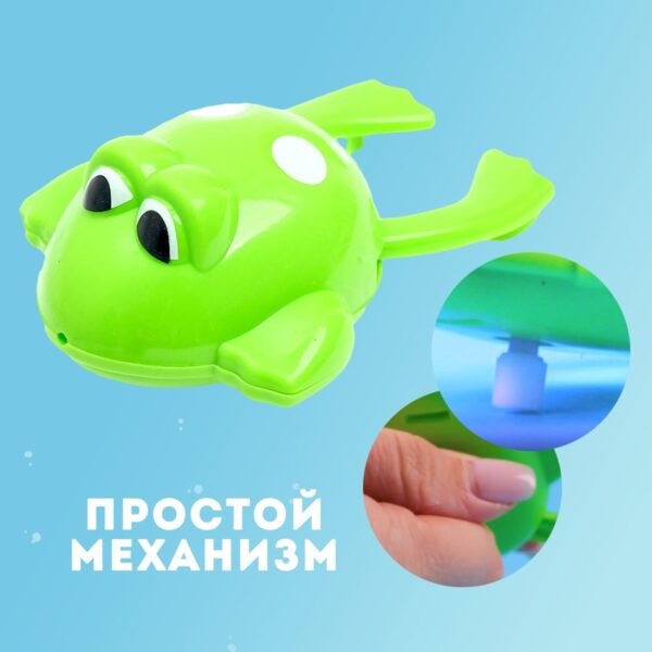 Заводная игрушка "Лягушонок" 2