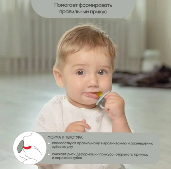 Пустышка Paomma ортодонтическая латексная ночная (3-18 мес) Hazelhut — изображение 4