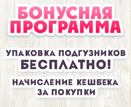 Бонусная программа Поддгузон39 1