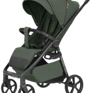 Прогулочная коляска Carrello Bravo Carbon Tropic Green