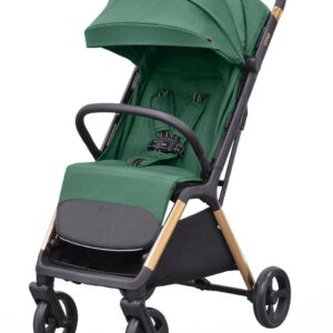 Прогулочная коляска Carrello Cross Parrot Green