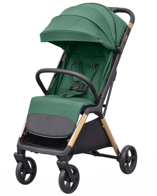 Прогулочная коляска Carrello Cross Parrot Green