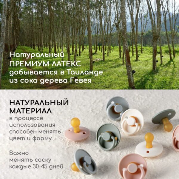 Пустышка MiYoumi, латексная, 0-6 мес, Ivory/Sage 3