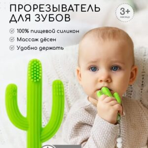 Силиконовый грызунок Кактус с щеточкой салатовый