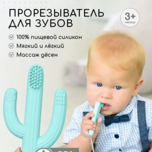Силиконовый грызунок Кактус с щеточкой Mint