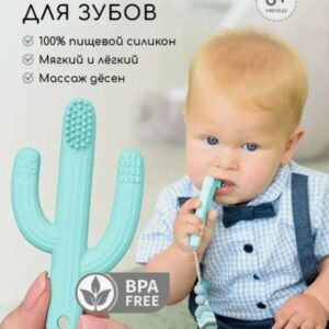 Силиконовый грызунок Кактус с щеточкой/Mint